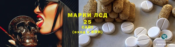 мескалин Ельня