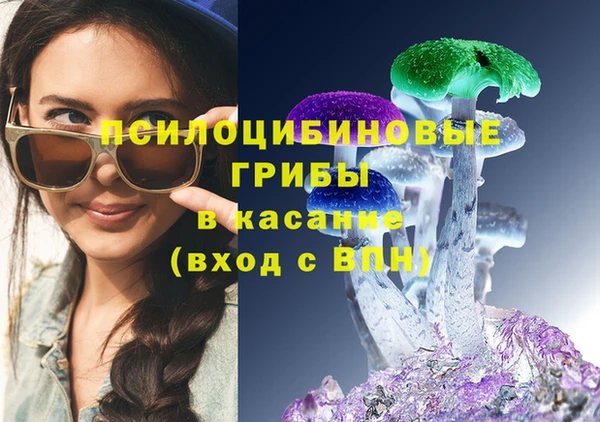 mdma Елизово