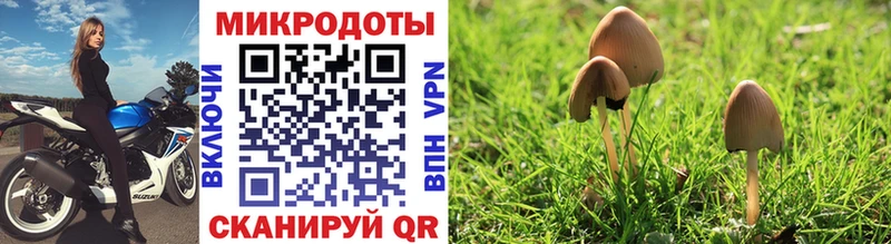 Купить закладки  Соль-Илецк  Галлюциногенные грибы Cubensis 